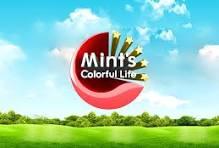 Mint's Colorful Life