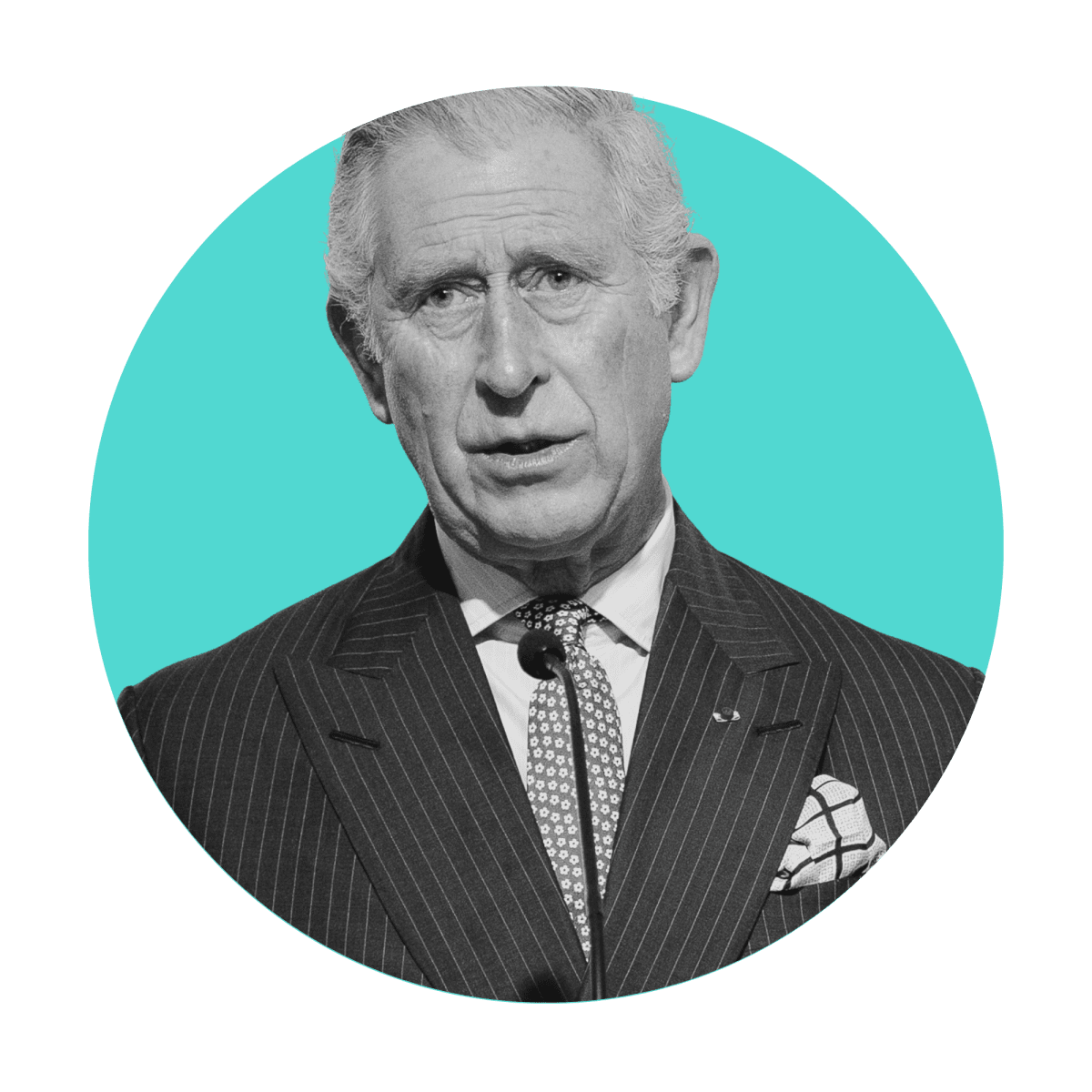 His Royal Highness The Prince of Wales