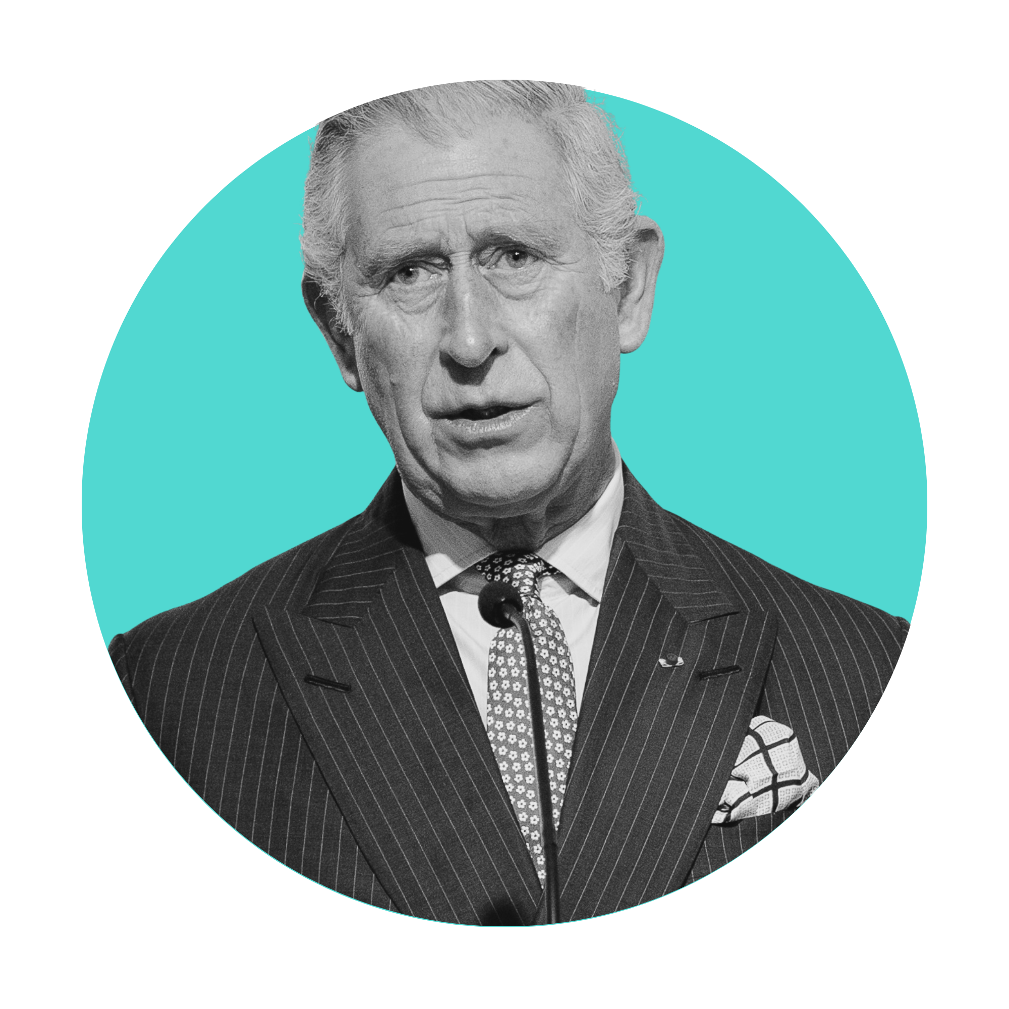 Prince Charles books for children