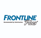 Frontline