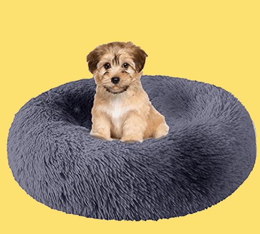 Beds – Comfortable & Supportive Dog Beds