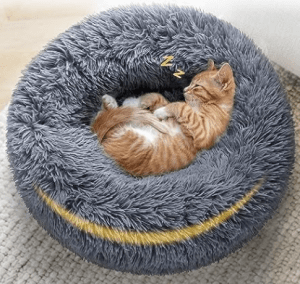 Cat Beds – Cozy & Comfortable Sleeping Options for Your Cat