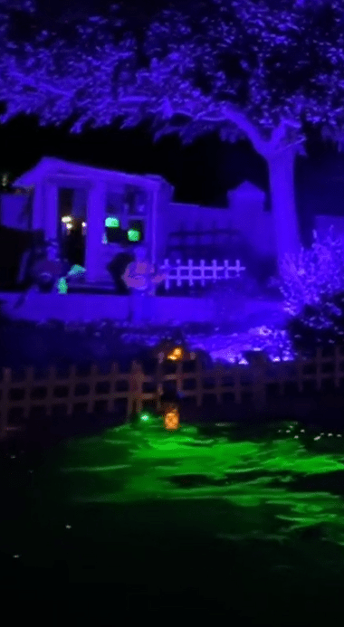 Green Laser Swamp