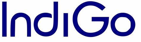 Indigo Air Filters