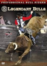 Bull Riding