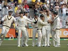 Cricket