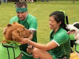 Dog Show