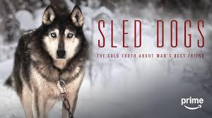 Dog Sled