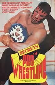 Pro Wrestling