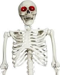 Skeleton