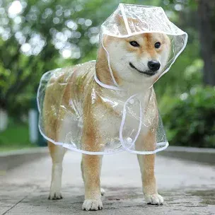 Pet Supplies