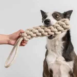 Dog & Cat Toys