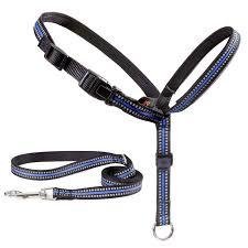 Pet Accessories (e.g., leashes, collars)
