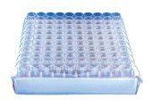 Drosophila Vials