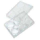 Non-Treated Multi-Well Plates