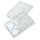 Non-Treated Multi-Well Plates