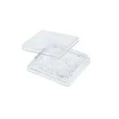 Treated Tissue Culture Multi-Well Plates