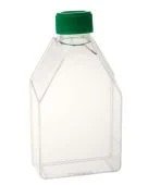 Flasks