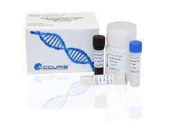 DNA Quantification Kits