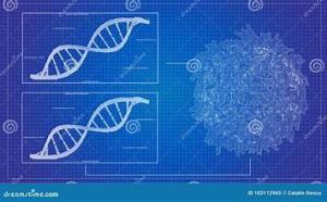 DNA/RNA Sequencing
