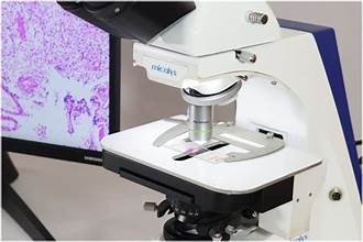Microscopy and Imaging Systems