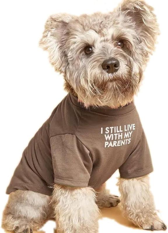 Dog Summer Clothes