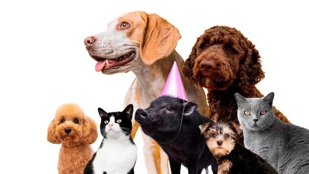 Pets