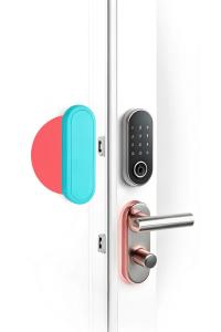 Smart Locks