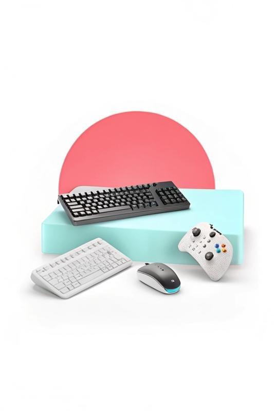 Input Devices