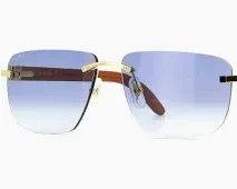 Cartier Sunglasses for Men