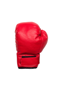 Security and Self-Defense