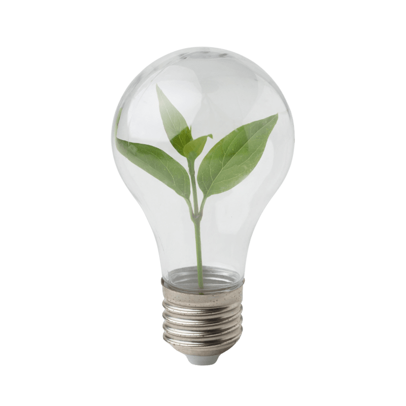 Conservation and Efficiency