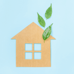 Green Living