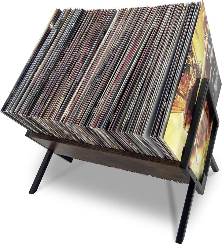Vinyl Record Storage Holders
