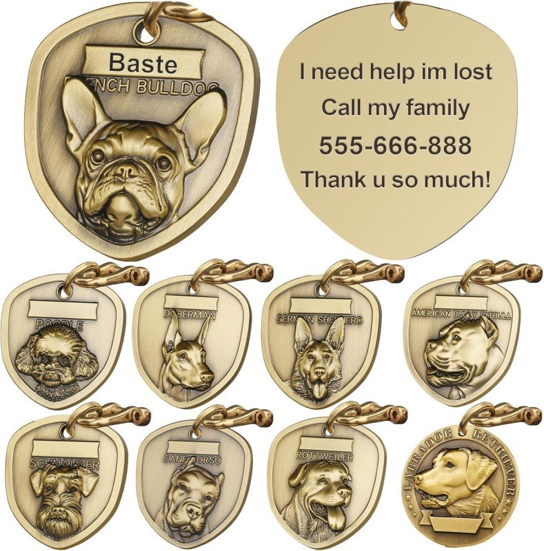 Chic Accessories with ID Information for Frenchie's