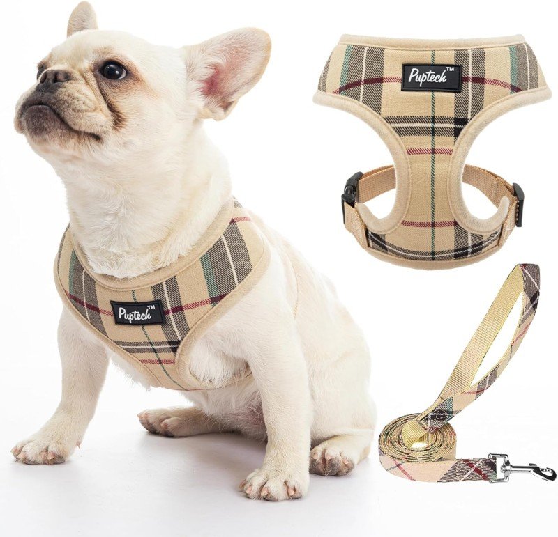 Collars, Harnesses & Accessories for French Bulldogs