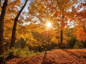 Fall Cleanup