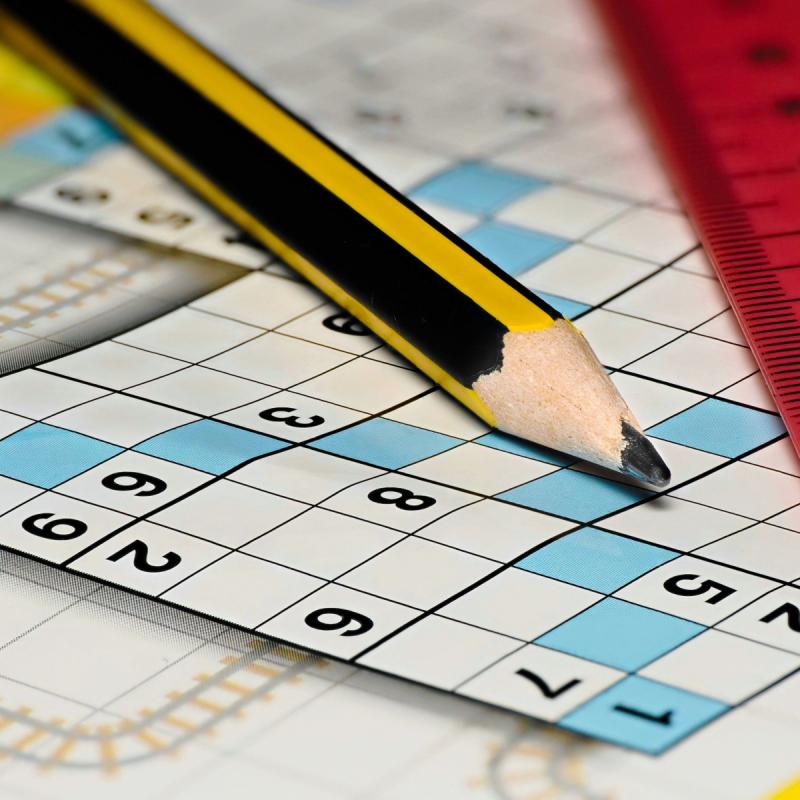 Puzzle Books & Activity Books