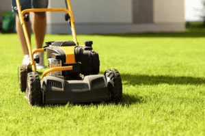 Gas Powered Mowers