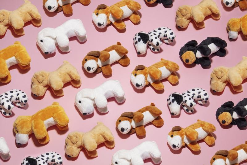 Cats & Dogs