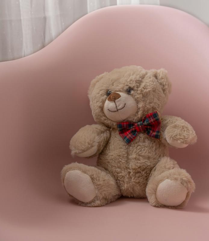 Classic Teddy Bear