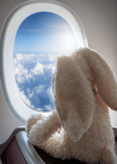 Travel Accessories