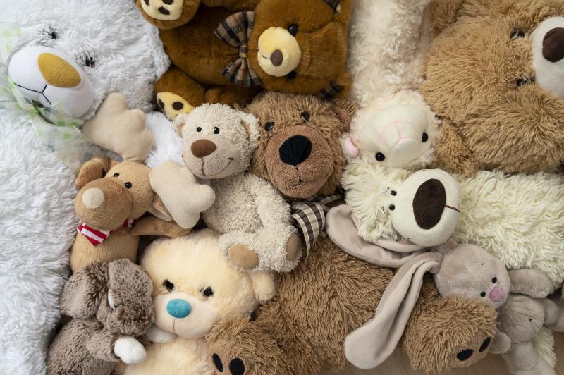 Cuddly Companions