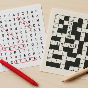 Our Own Puzzle Book Publications