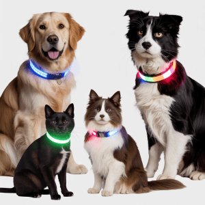 LED & Reflective Collars