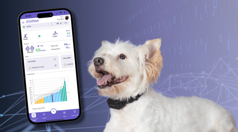 Pet Health Monitors & Wearable Trackers for Dogs and Cats