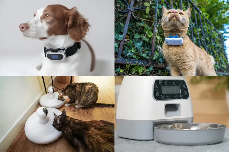 Pet Tech Gadgets | Smart Devices for Safer, Healthier Pets