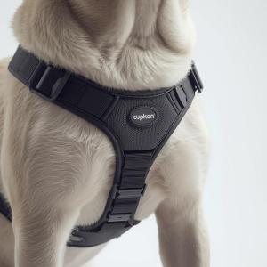 Mobility & Joints Support