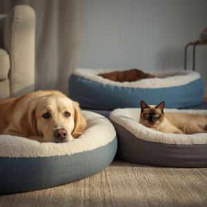 Orthopedic Comfort & Sleep