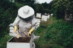 Bee Care Products